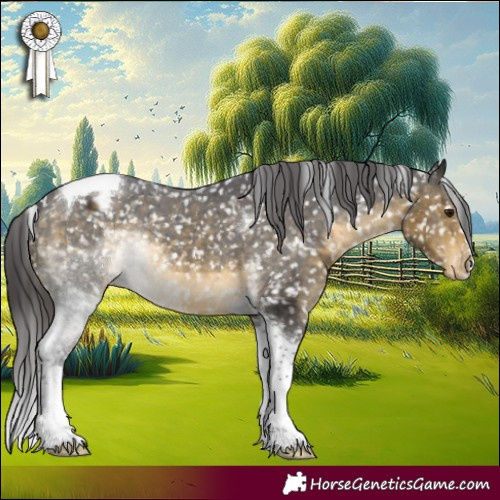 Horse Color:Buckskin Tobiano Appaloosa 