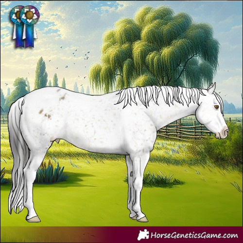 Horse Color:Buckskin Dun Splash Tobiano Blanket 