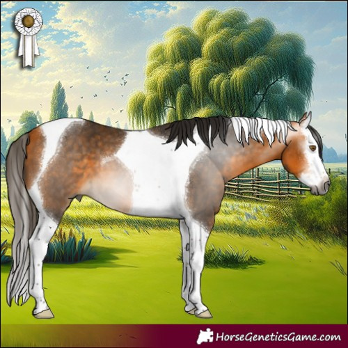 Horse Color:Gray Buckskin Splash Tobiano 