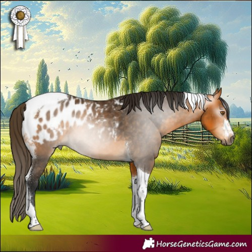 Horse Color:Gray Buckskin Tobiano Blanket 