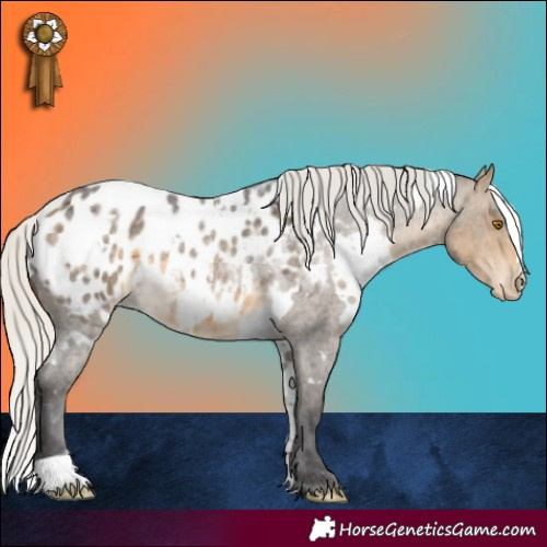 Horse Color:White Spotted Silver Buckskin Roan Appaloosa Rabicano 