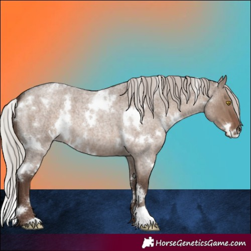 Horse Color:White Spotted Silver Grullo Roan 