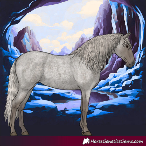 Horse Color:Silver Blue Roan 