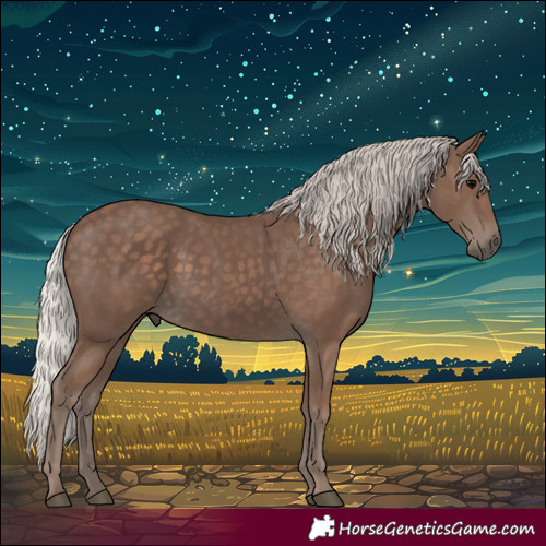 Horse Color:Silver Black