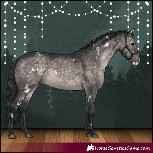 Horse Color:Platinum White Spotted Brown Dun 