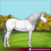 Horse Color:White Spotted Smoky Black Frame Blanket 