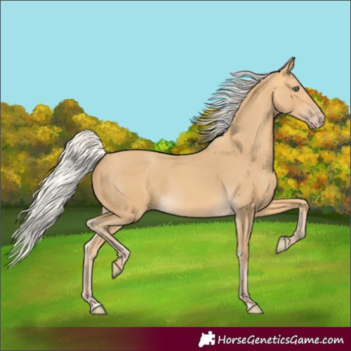 Horse Color:Silver Amber Cream Champagne 