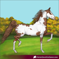 Horse Color:Chestnut Frame Varnish