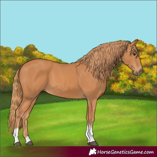 Horse Color:Chestnut Tobiano 