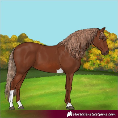 Horse Color:Chestnut Tobiano 