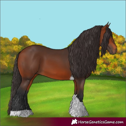 Horse Color:Bay Tobiano 