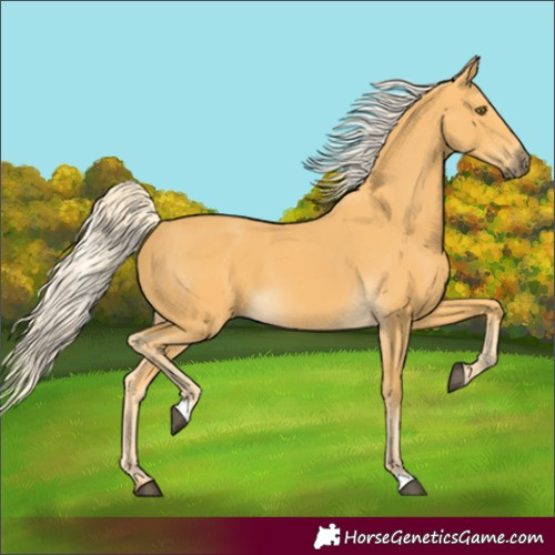 Horse Color:Palomino 