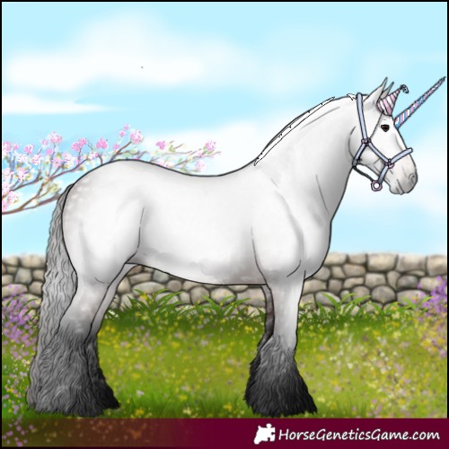 Horse Color:Gray Bay 