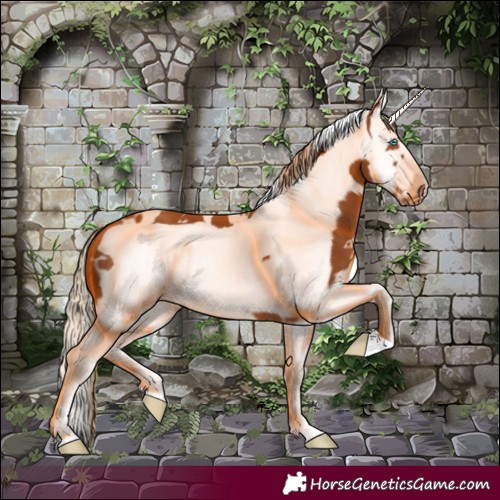 Horse Color:White Spotted Chestnut Splash Frame 