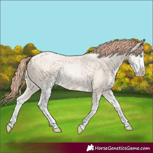 Horse Color:Sable Cream Champagne Pearl Sabino 