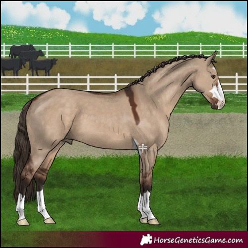 Horse Color:Liver Red Dun 