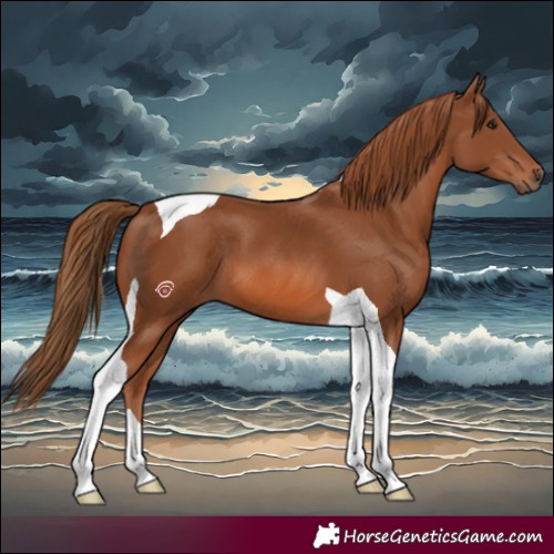 Horse Color:Chestnut Tobiano 