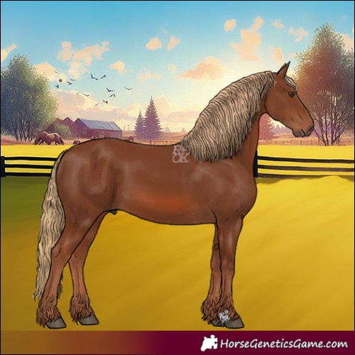 Horse Color:Chestnut 