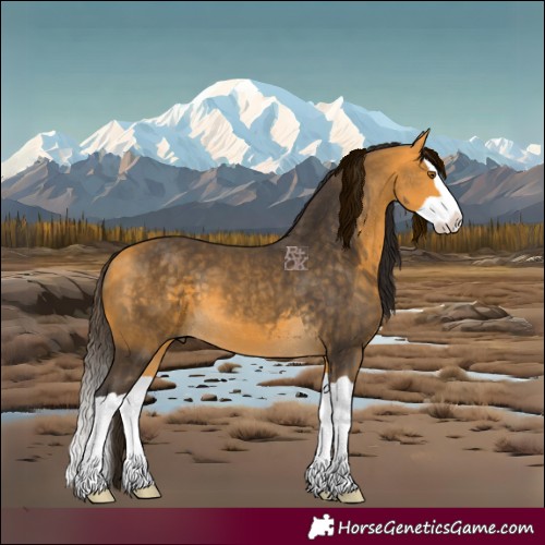 Horse Color:Buckskin Splash 