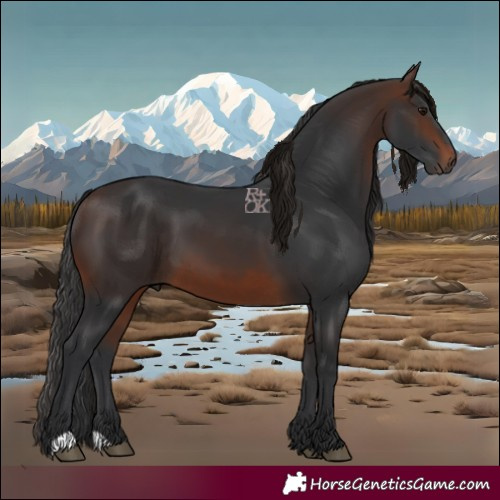 Horse Color:Brown 