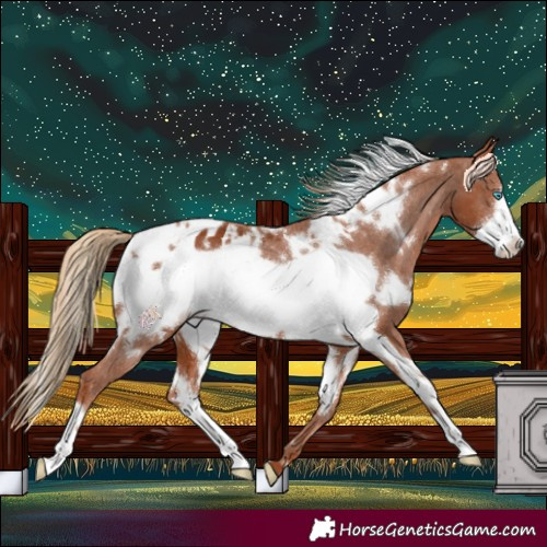 Horse Color:White Spotted Chestnut Frame Blanket 