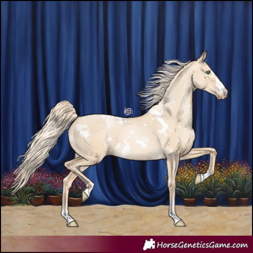 Horse Color:White Spotted Palomino Pearl Dun 