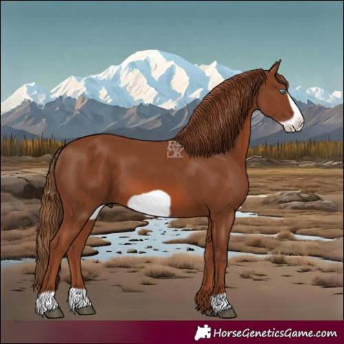 Horse Color:Chestnut Frame 
