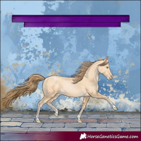 Horse Color:Buckskin Pearl 