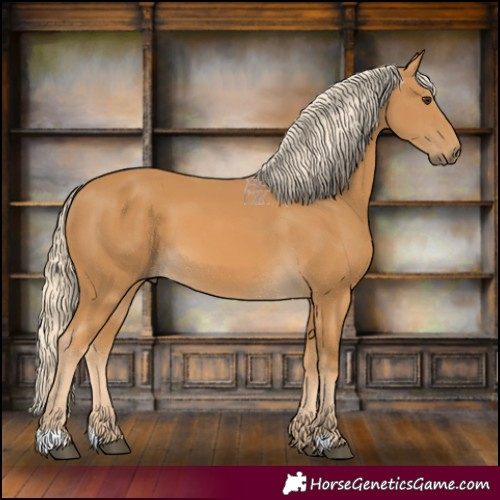Horse Color:Palomino 