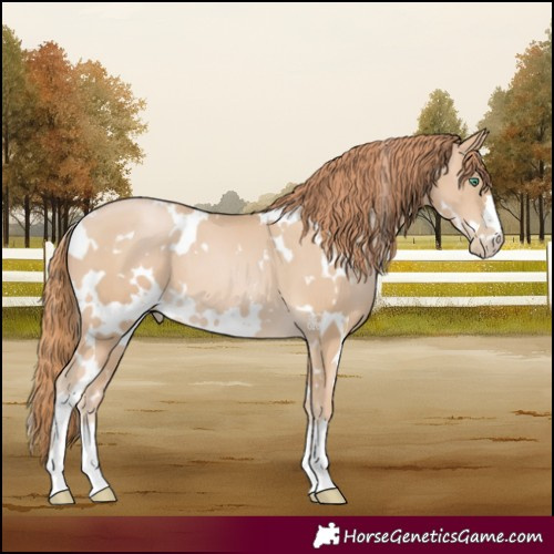 Horse Color:White Spotted Smoky Black Pearl 