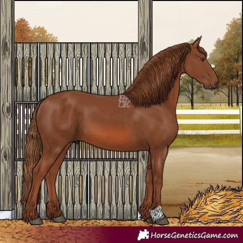 Horse Color:Chestnut 