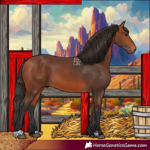 Horse Color:Bay 