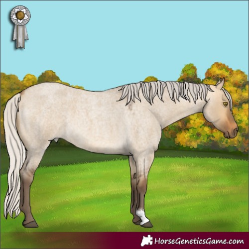 Horse Color:Silver Buckskin Roan Dun 