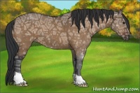 Horse Color:Bay Ice Dun