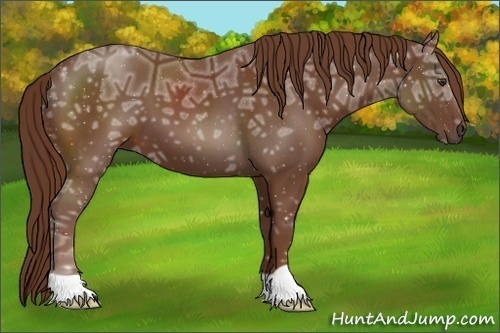 Horse Color:Chestnut Ice
