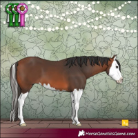 Horse Color:Bay Splash 