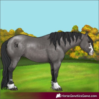 Horse Color:Platinum Brown Dun 