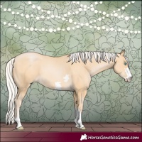 Horse Color:Silver Buckskin Pearl