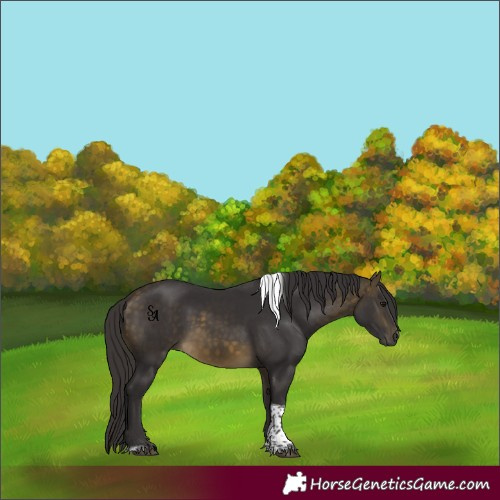 Horse Color:Buckskin Tobiano 