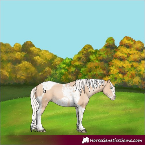 Horse Color:Silver Buckskin Pearl Tobiano Frame 