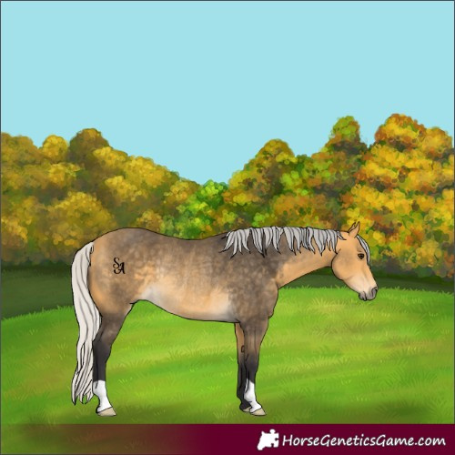 Horse Color:Silver Buckskin Rabicano 