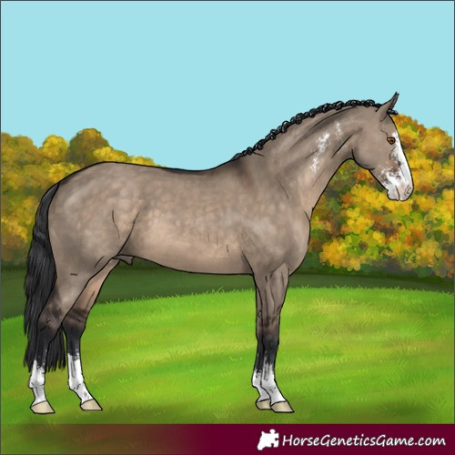 Horse Color:Brown Dun Sabino 