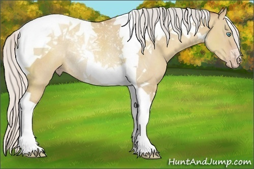 Horse Color:Silver Classic Champagne Dun Tobiano Rabicano 