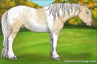 Horse Color:Silver Classic Champagne Dun Tobiano Rabicano