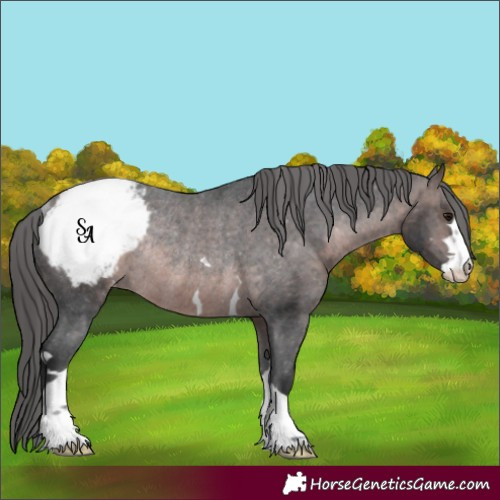 Horse Color:Platinum Brown Appaloosa Rabicano