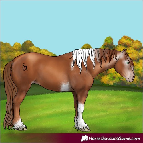 Horse Color:Gray Gold Champagne Tobiano