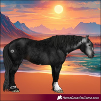 Horse Color:Gray Brown Ice