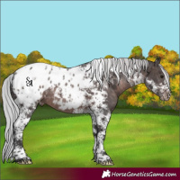 Horse Color:Platinum Silver Brown Tobiano Blanket