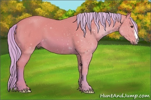Horse Color:Watercolor Chestnut 