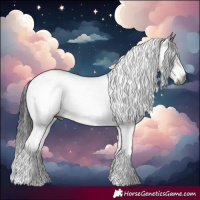 Horse Color:Gray White Spotted Smoky Black